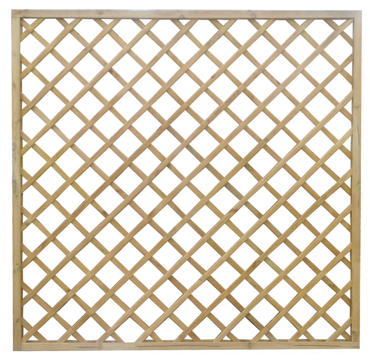 Diagonal Trellis Pressure Treated