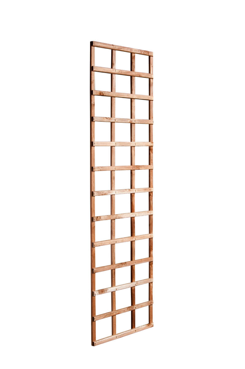 Rigid Wall Trellis Golden Brown